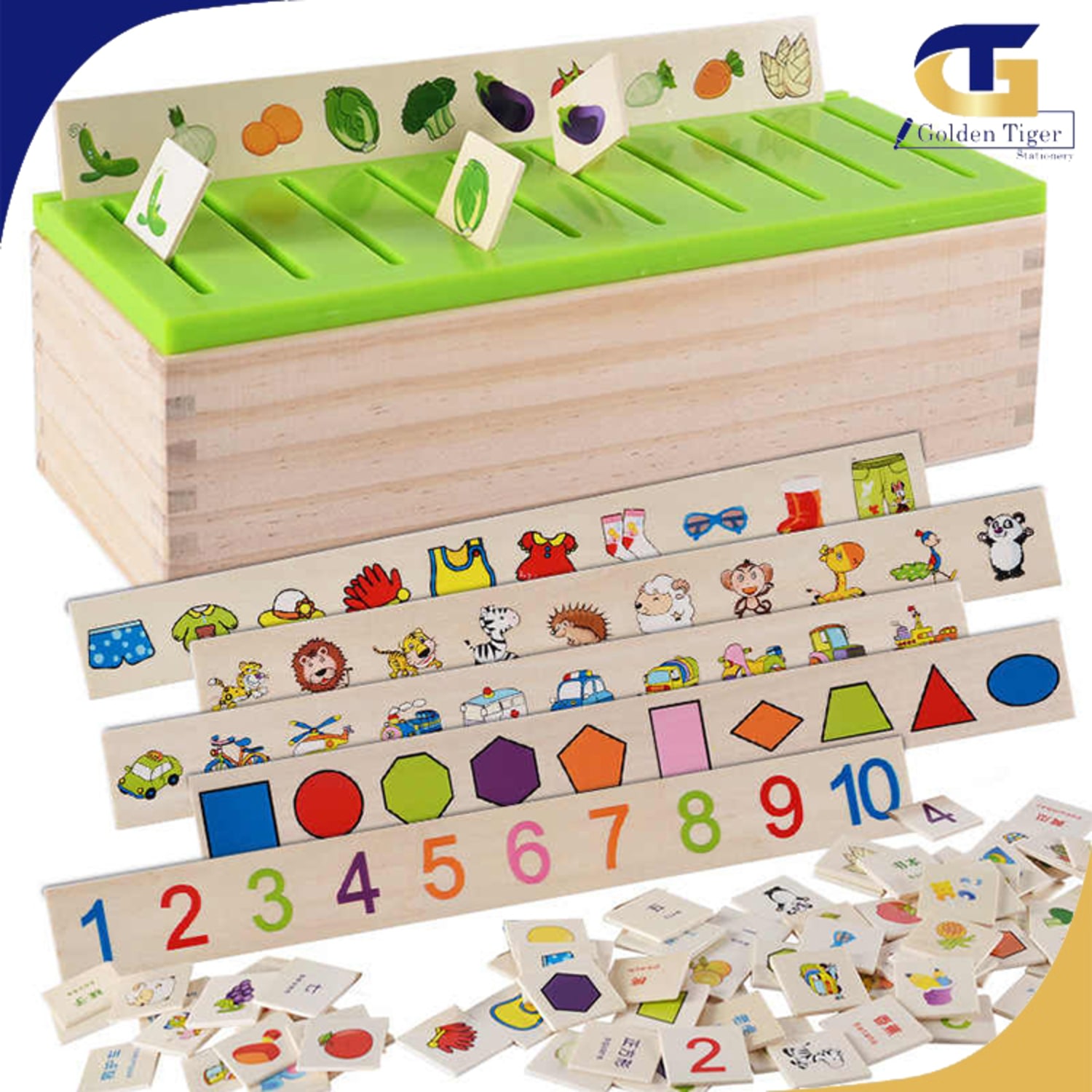 Knowledge Classification Box Golden Tiger Stationery Store