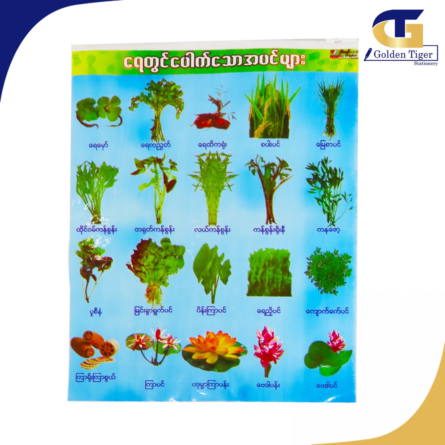Chart Card Small | Golden Tiger Stationery Store